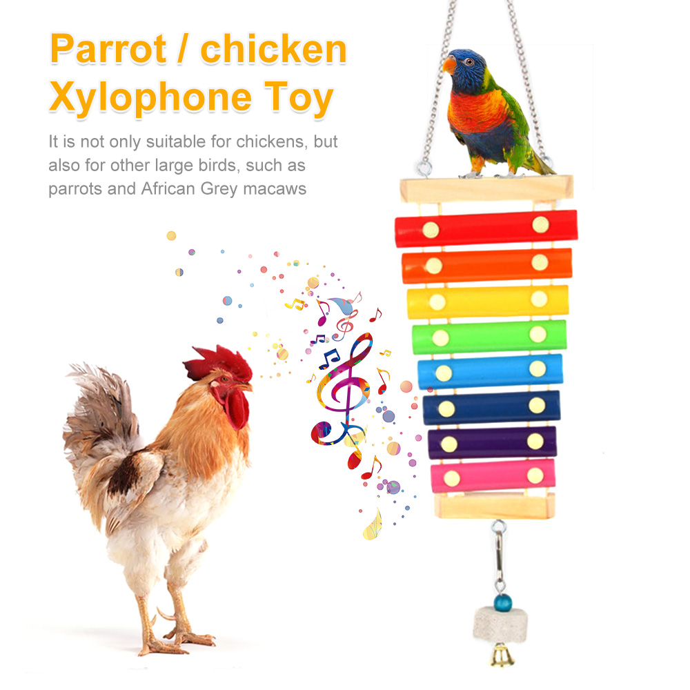 Jouet Xylophone pour oiseaux,  - Musical Instrument Harmonium avis et prix