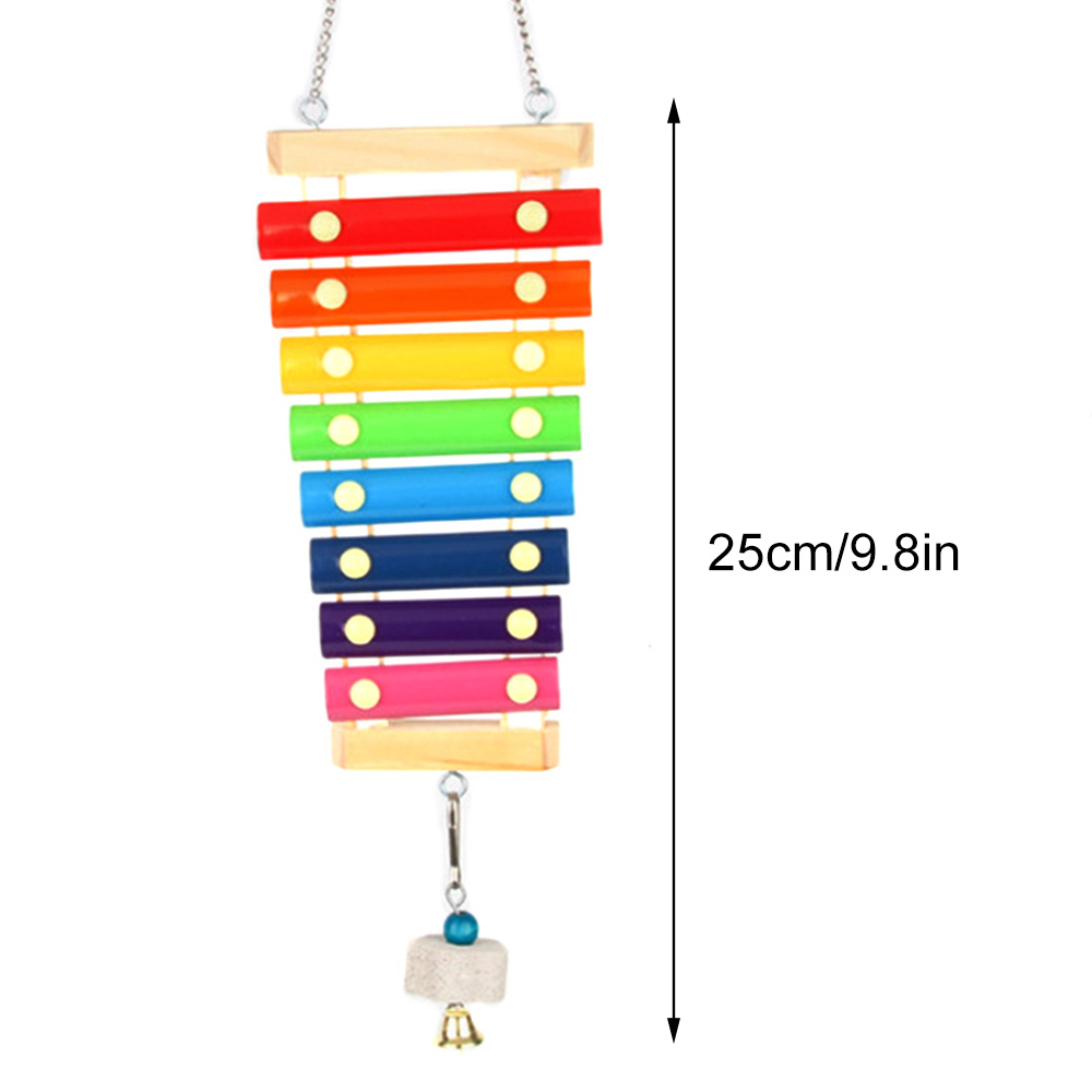 Jouet Xylophone pour oiseaux,  - Musical Instrument Harmonium avis et prix