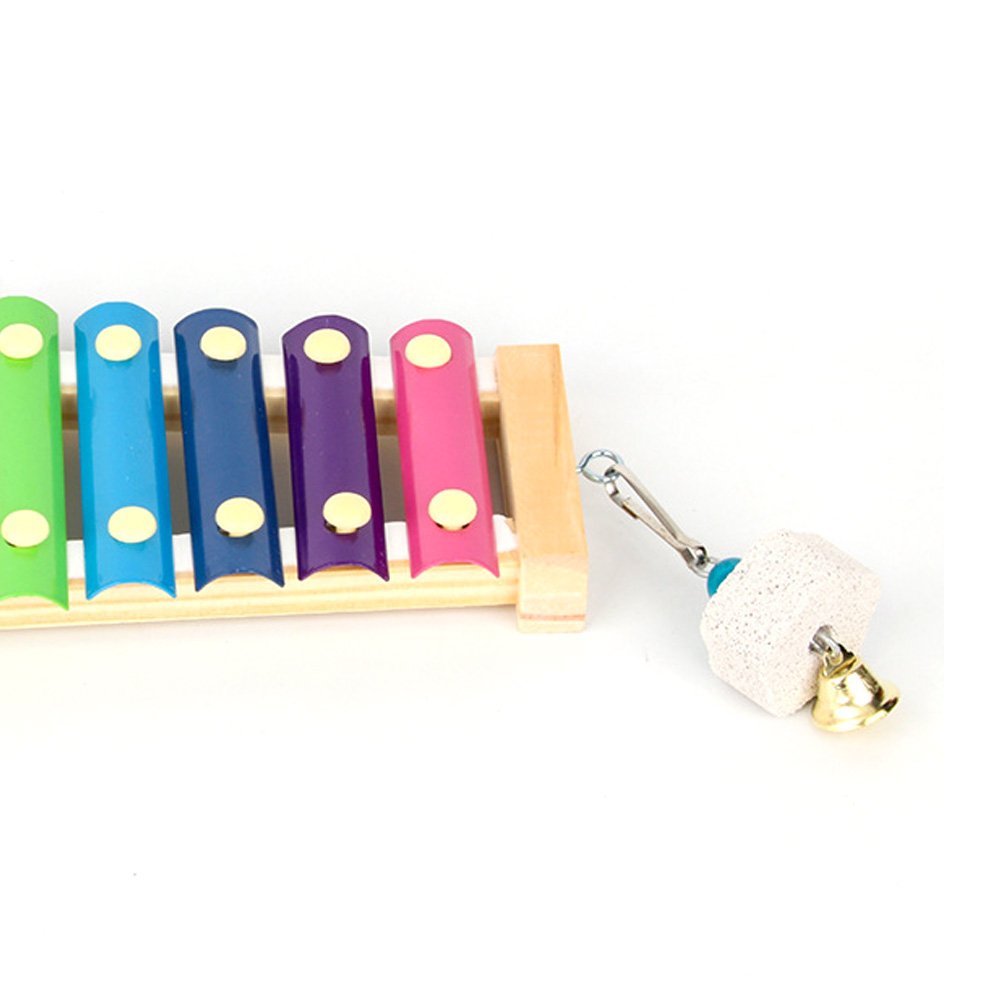 Jouet Xylophone pour oiseaux,  - Musical Instrument Harmonium avis et prix