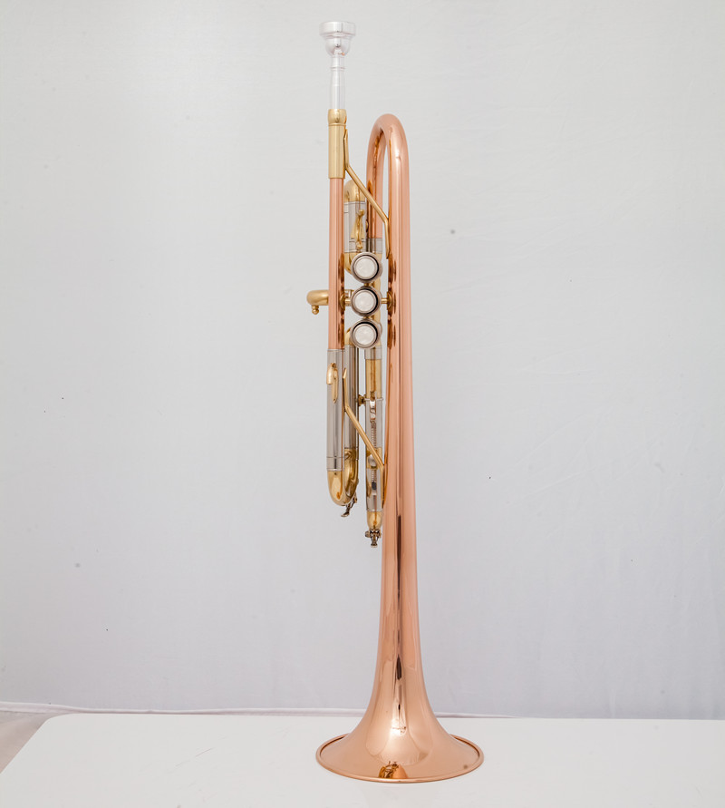 Trompette professionnelle C, I - Musical Instrument Bugle avis et prix